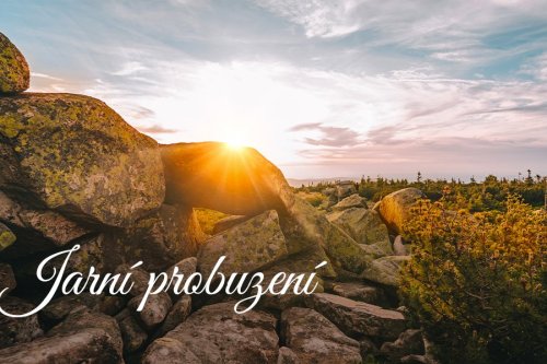 Jarní probuzení